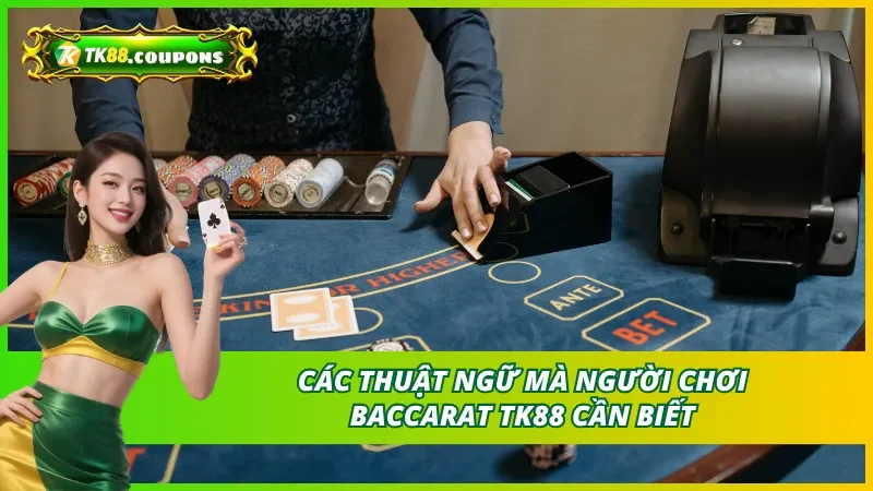 Các thuật ngữ mà người chơi Baccarat TK88 cần biết